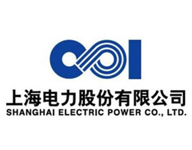 深圳大通建材合作伙伴-上海電力股份有限公司